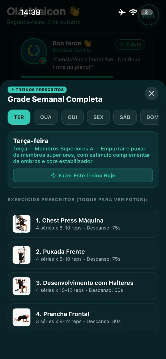 Tela do app MY ALLY com grade semanal de treinos